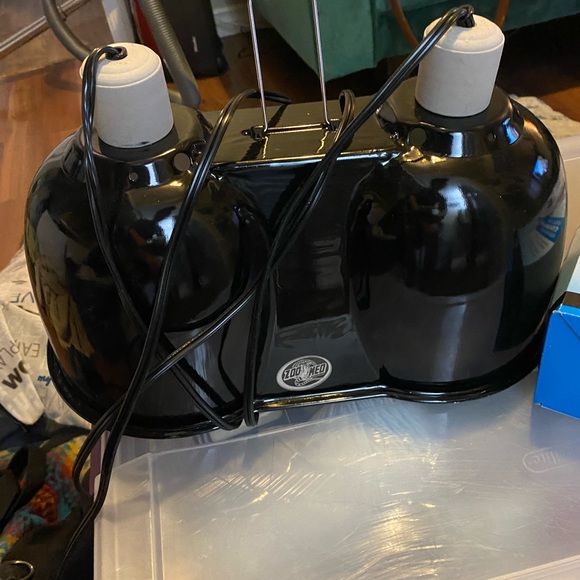 Reptile Supplies - Picture 4 of 6